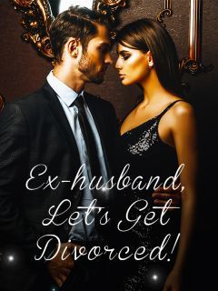 Ex-husband, Let's Get Divorced!